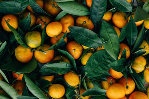 Bitter Orange Extract