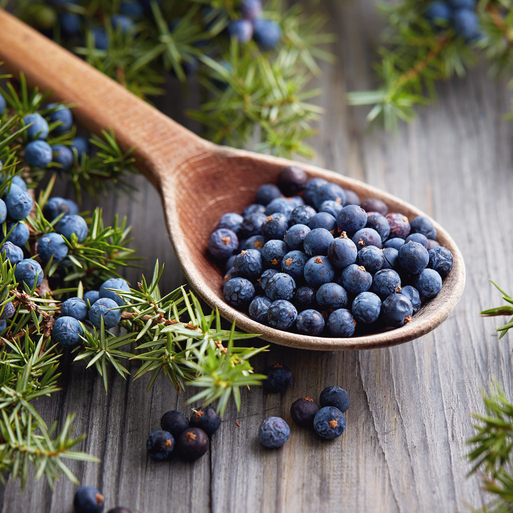 Juniper Berry