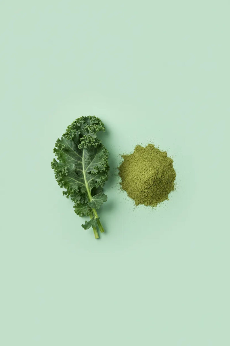 Kale powder