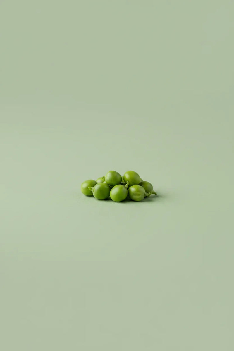 Pea protein isolate