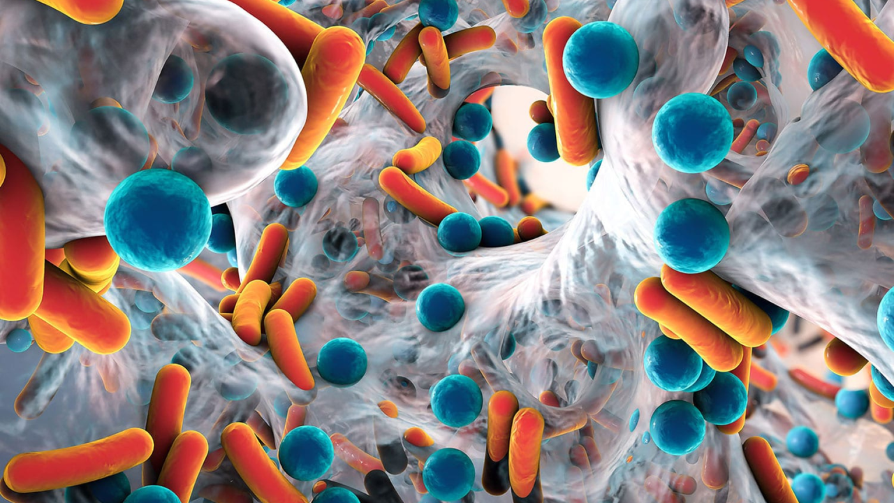 Galactooligosaccharides