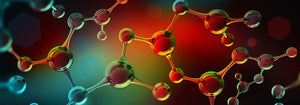 L-Tyrosine