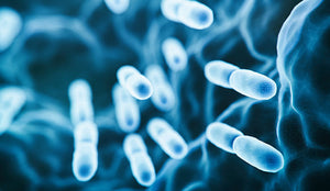 What exactly is a Probiotic?