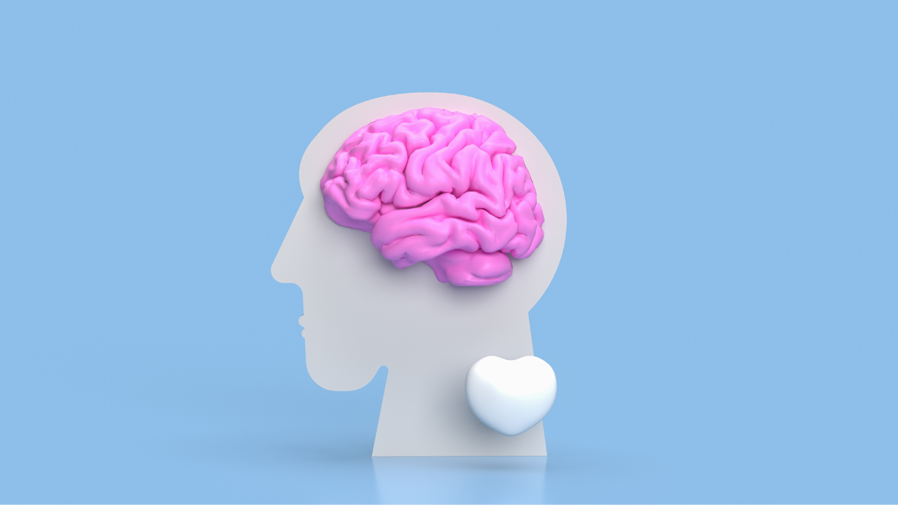 Alpha-GPC for Mental Clarity and Focus