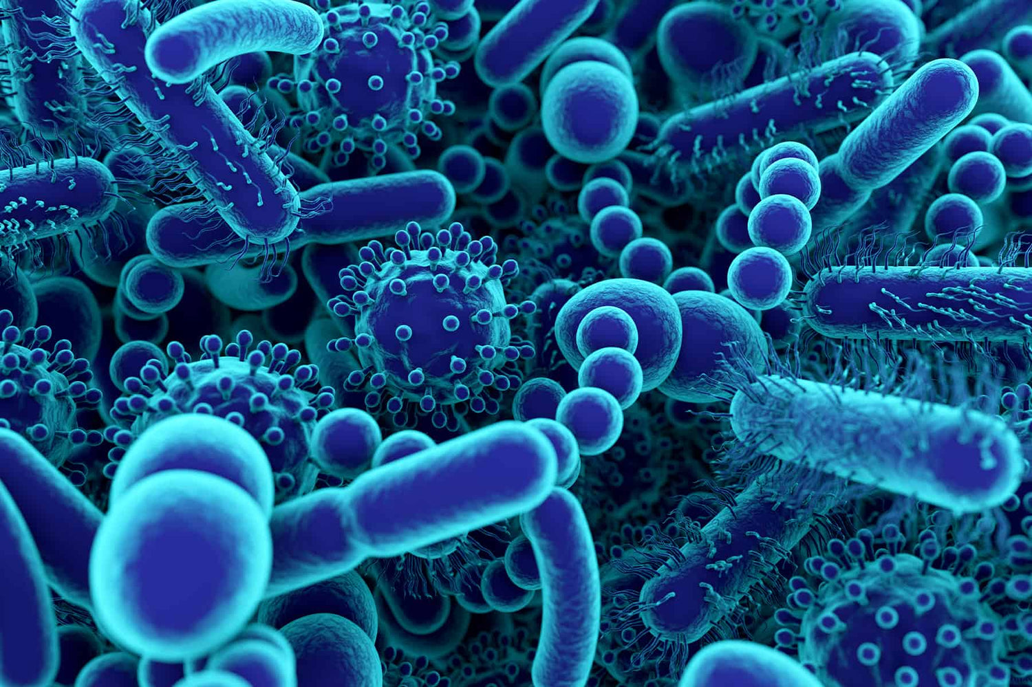 Lactobacillus acidophilus
