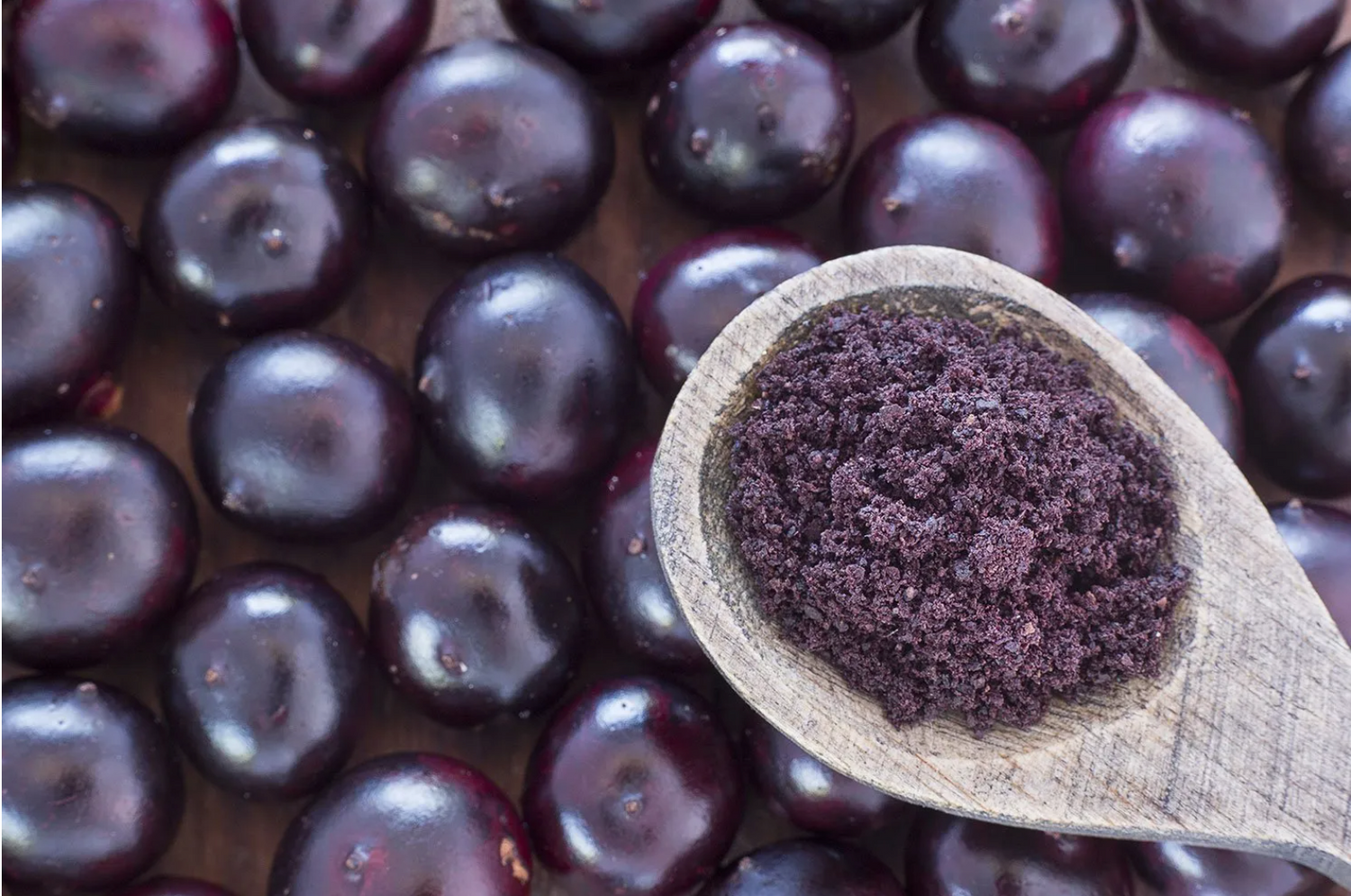 Acai Berry Powder