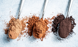 Theobroma Cacao Extract