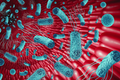 Streptococcus salivarius