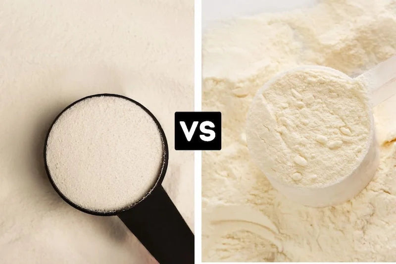 Whey Protein Powder vs. Collagen Peptides
