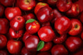 Apple Extract