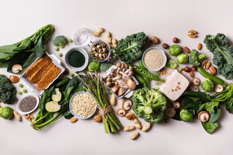 Plant Protein vs Whey Protein