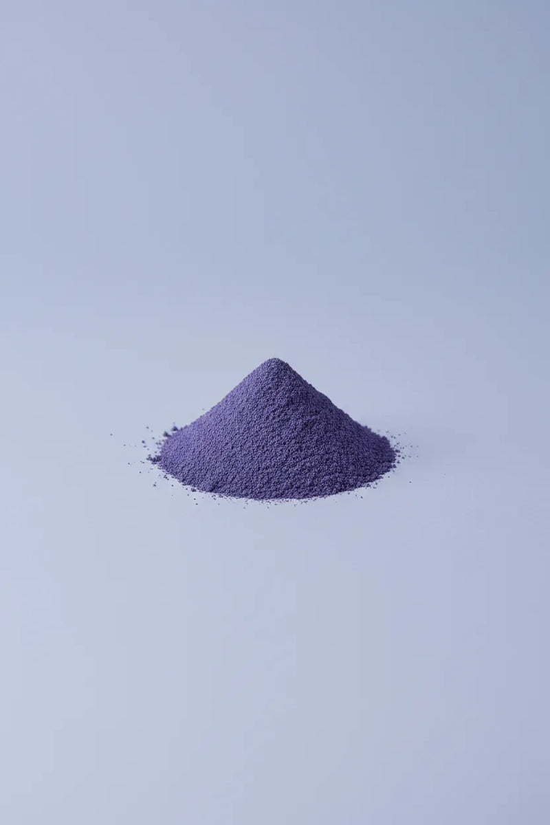 Blueberry powder