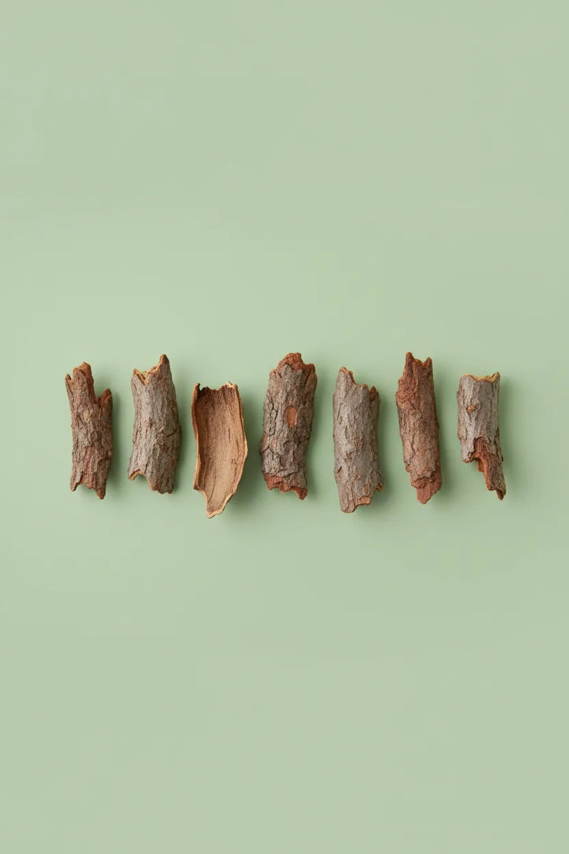 English walnut extract