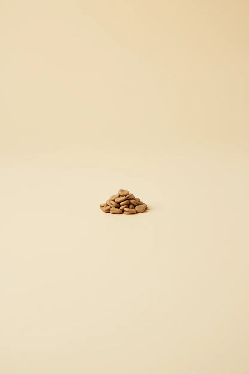 Fava bean protein isolate