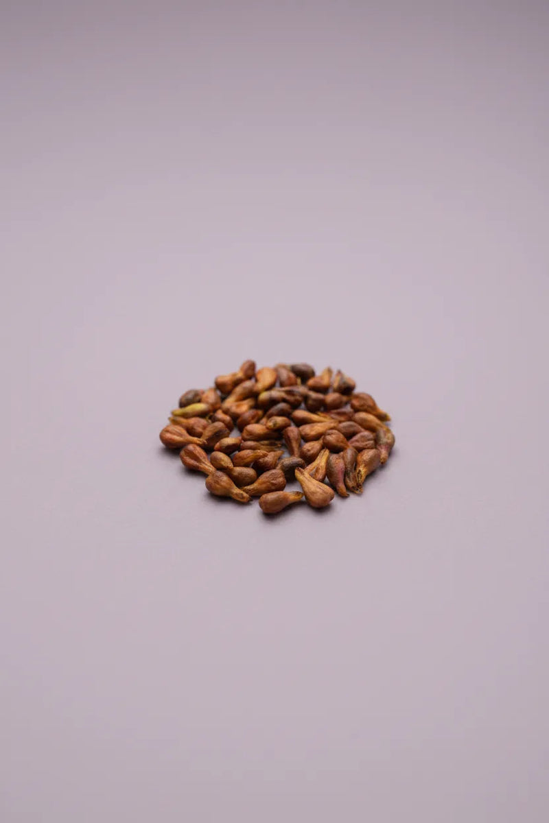 Grape seed extract