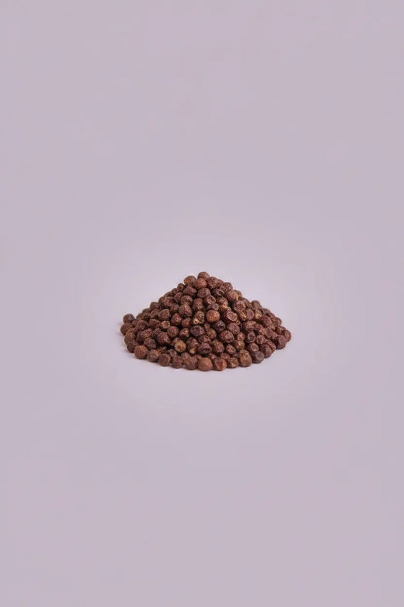Paradoxine® grains of paradise