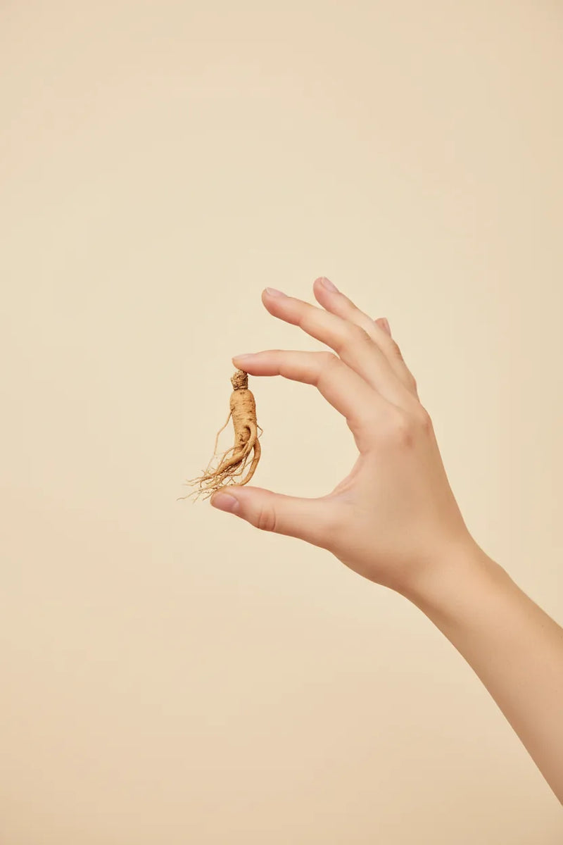 Siberian ginseng extract